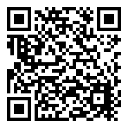qr Code Url